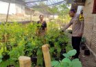 Kunjungi Warga, Bhabinkamtibmas Polres Madiun Perkuat Ketahanan Pangan dari Desa